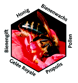 Bild "bienenprodukte.jpg"